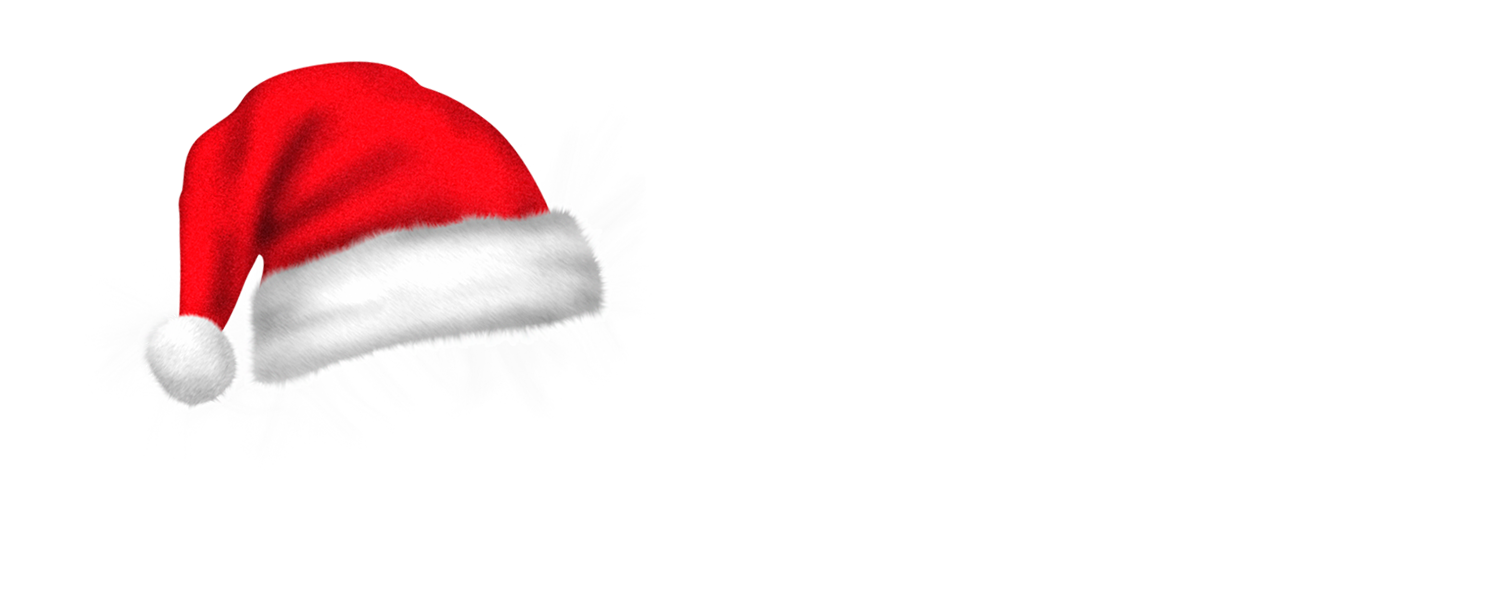 eLearning-logo-PS2-Christmas-White