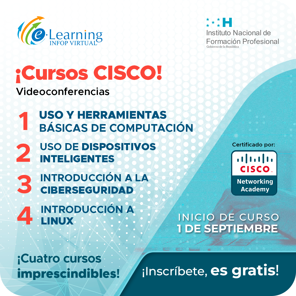 CISCO P8 WEB 1200x1200